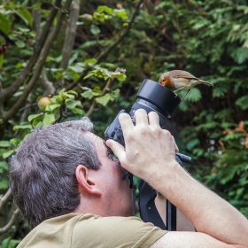  Tony McCann - The Wildlife Photographer